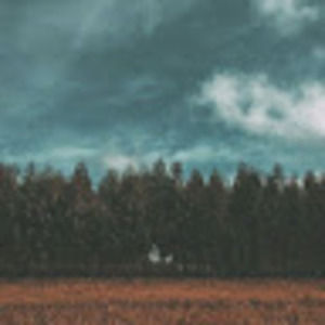 Meet your Posher, Ayanna